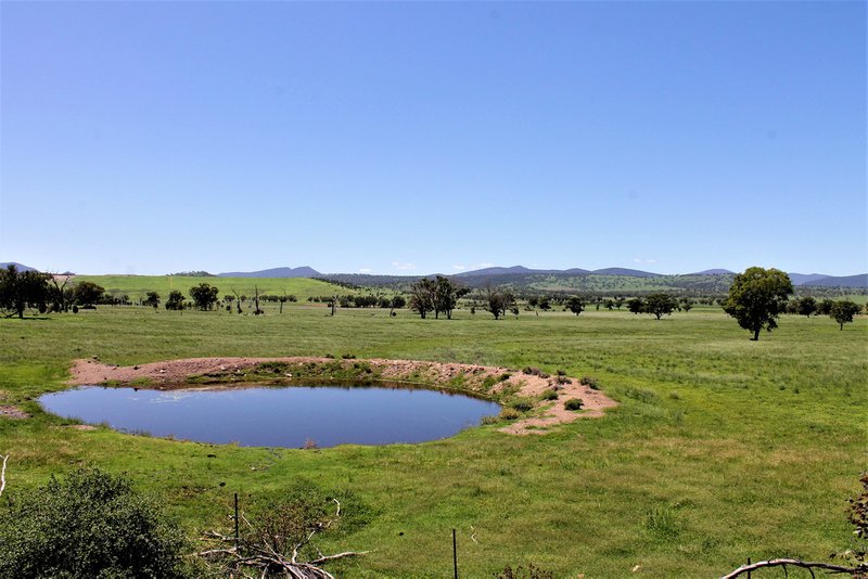 Photo - 155 Paynes Road, Quirindi NSW 2343 - Image 20