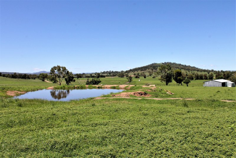 Photo - 155 Paynes Road, Quirindi NSW 2343 - Image 23