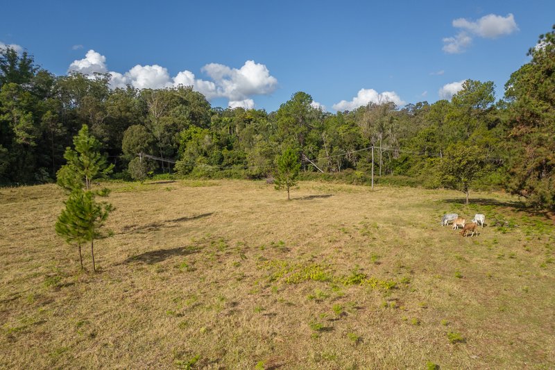 Photo - 1554 D'Aguilar Highway, Bracalba QLD 4512 - Image 29