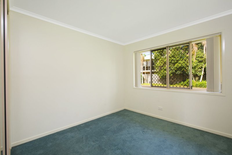 Photo - 155C Mooloolaba Road, Buderim QLD 4556 - Image 7