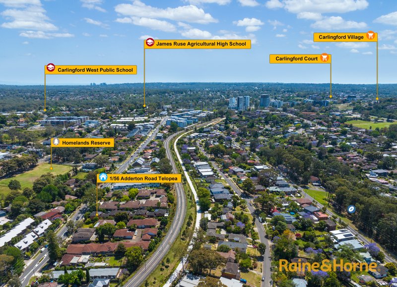 Photo - 1/56 Adderton Rd , Telopea NSW 2117 - Image 13