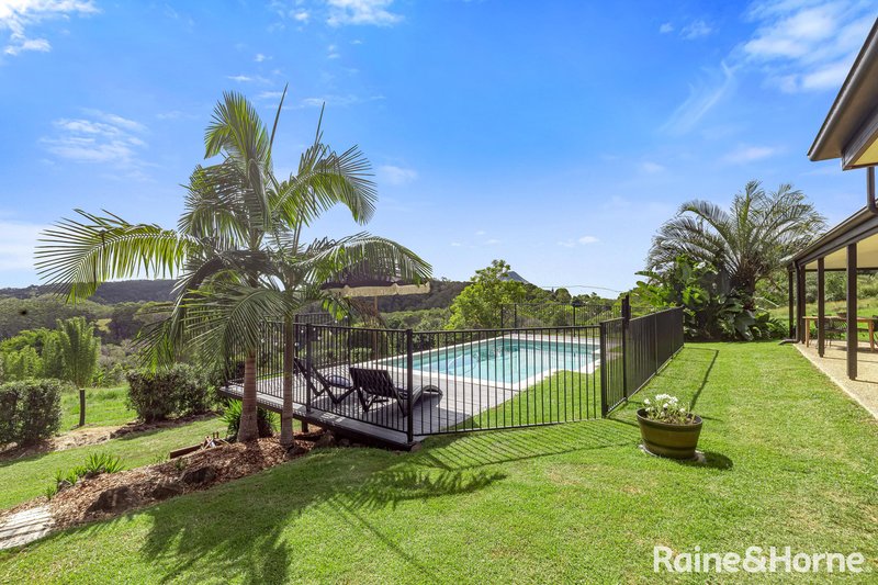 Photo - 156 Blanckensee Road, Black Mountain QLD 4563 - Image 2