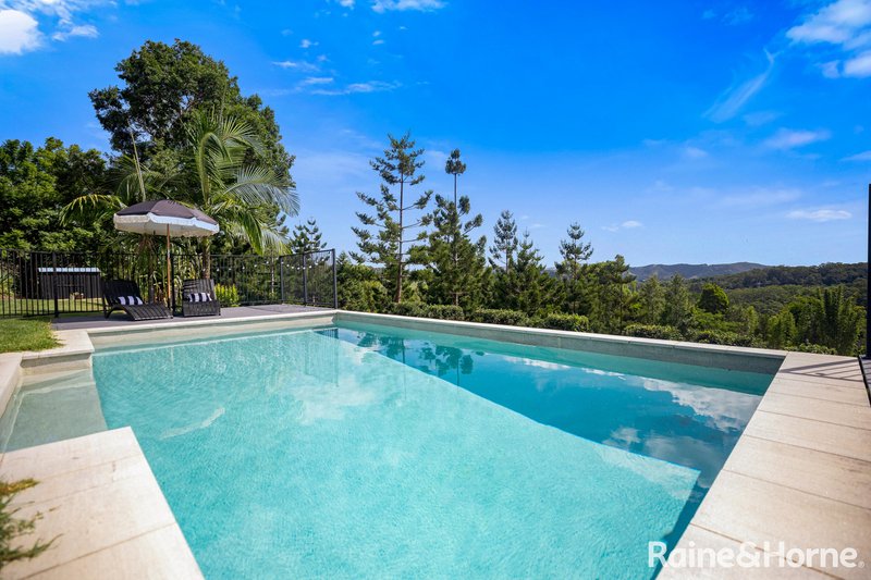 Photo - 156 Blanckensee Road, Black Mountain QLD 4563 - Image 5