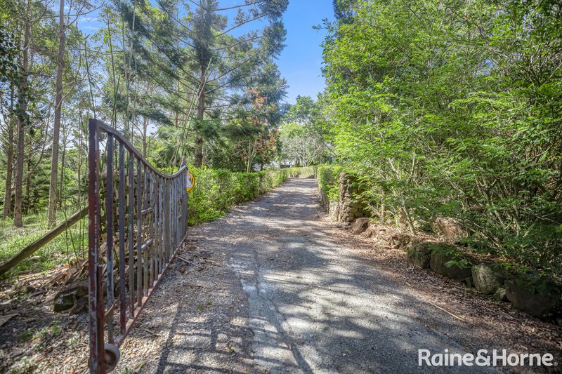 Photo - 156 Blanckensee Road, Black Mountain QLD 4563 - Image 18