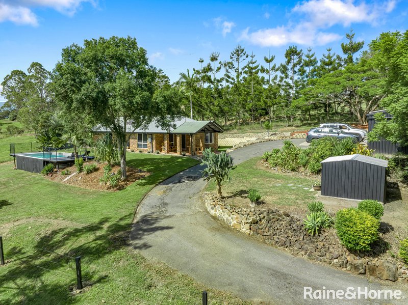 Photo - 156 Blanckensee Road, Black Mountain QLD 4563 - Image 23