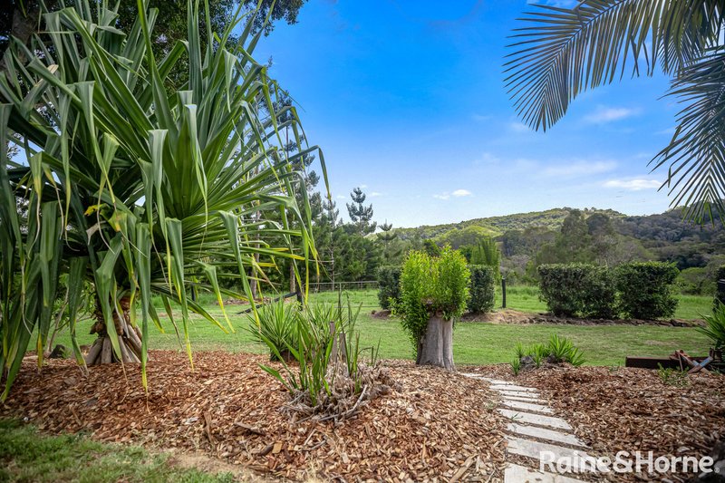 Photo - 156 Blanckensee Road, Black Mountain QLD 4563 - Image 25