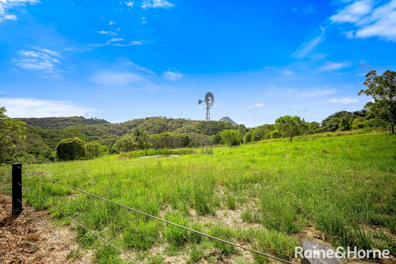 Photo - 156 Blanckensee Road, Black Mountain QLD 4563 - Image 26