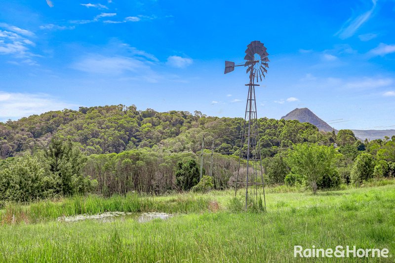 Photo - 156 Blanckensee Road, Black Mountain QLD 4563 - Image 27