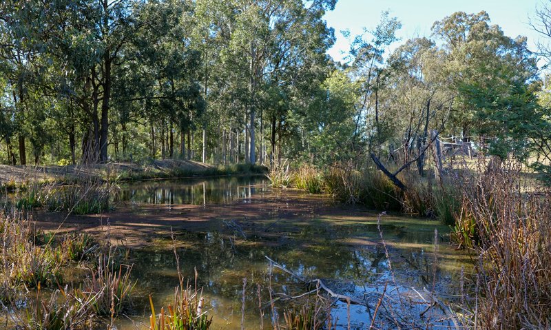 Photo - 156 Frame Drive, Sawyers Gully NSW 2326 - Image 4