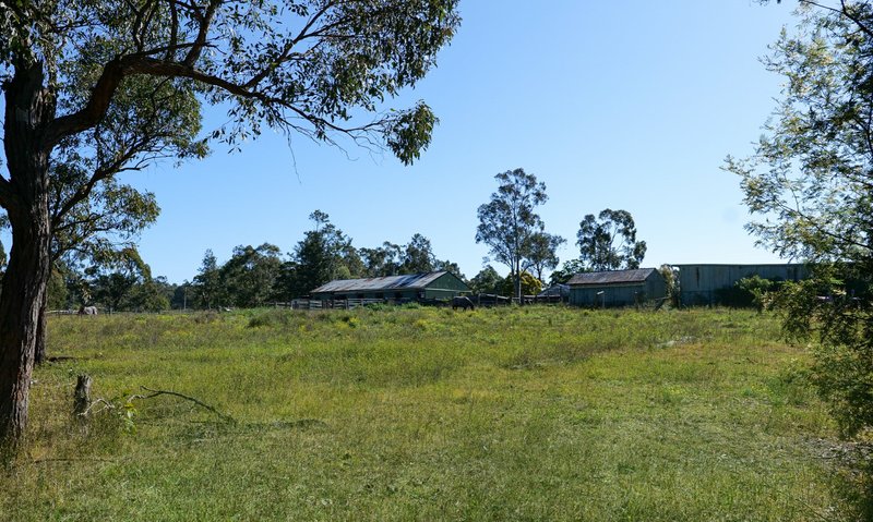 Photo - 156 Frame Drive, Sawyers Gully NSW 2326 - Image 6