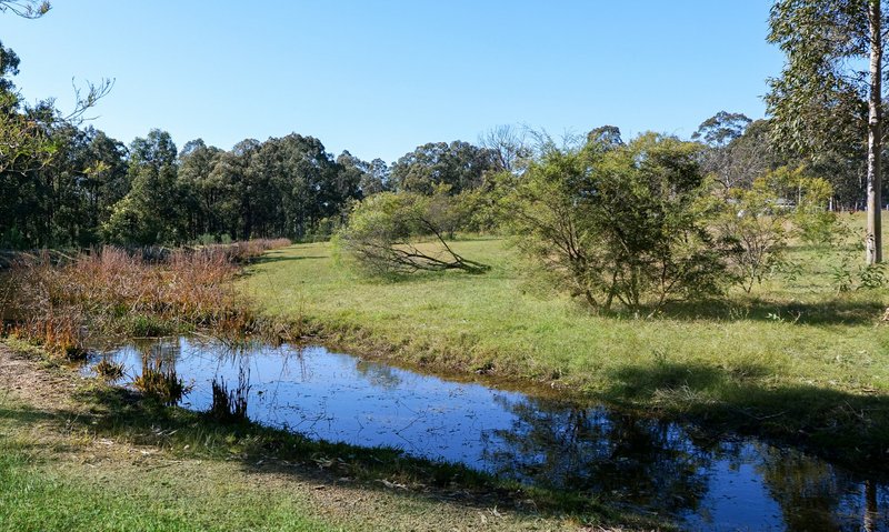 Photo - 156 Frame Drive, Sawyers Gully NSW 2326 - Image 14