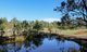 Photo - 156 Frame Drive, Sawyers Gully NSW 2326 - Image 15