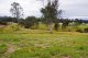 Photo - 156 Lawson Road, Pie Creek QLD 4570 - Image 7