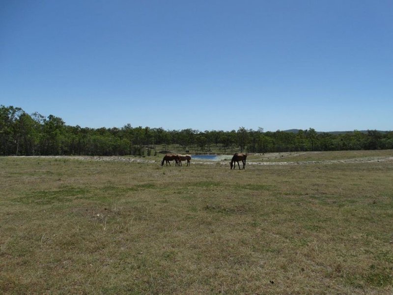 Photo - 156 Moolyung Road, Waterloo QLD 4673 - Image 5