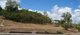 Photo - 156 Shute Harbour Road (Lot 16) , Cannonvale QLD 4802 - Image 6