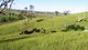 Photo - 156 St Johns Road, Georges Plains NSW 2795 - Image 14