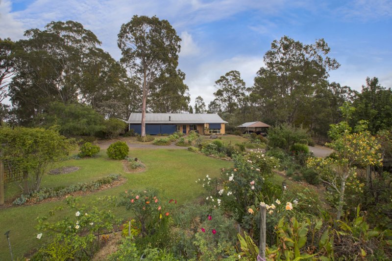 Photo - 1560 Glendonbrook Road, Singleton NSW 2330 - Image 2