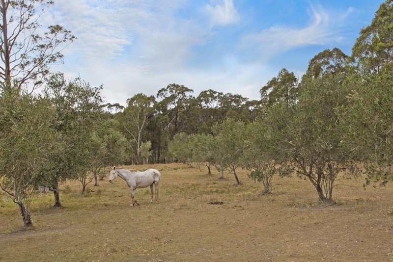 Photo - 1560 Glendonbrook Road, Singleton NSW 2330 - Image 12