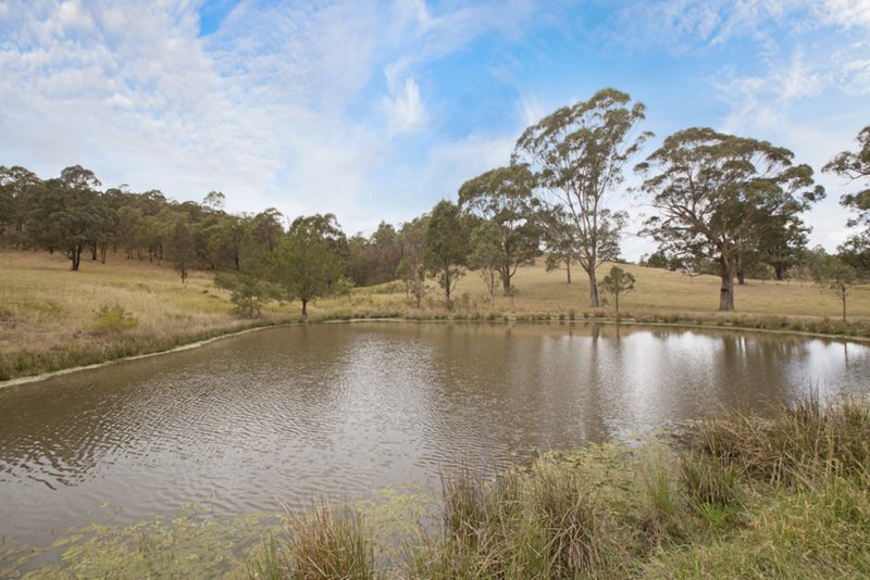 Photo - 1560 Glendonbrook Road, Singleton NSW 2330 - Image 13