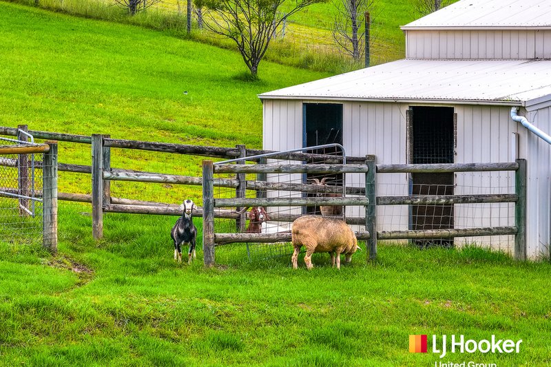 Photo - 157 Bobs Range Road, Orangeville NSW 2570 - Image 17