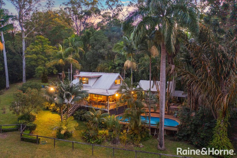 Photo - 157 Lawnville Road, Black Mountain QLD 4563 - Image 2