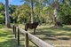 Photo - 157 Lawnville Road, Black Mountain QLD 4563 - Image 12