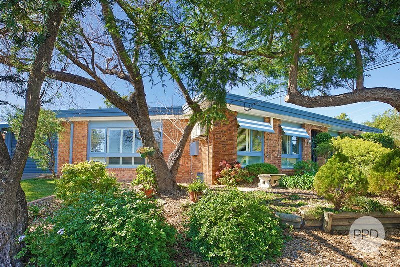 Photo - 157 Maxwell Street, South Penrith NSW 2750 - Image 16