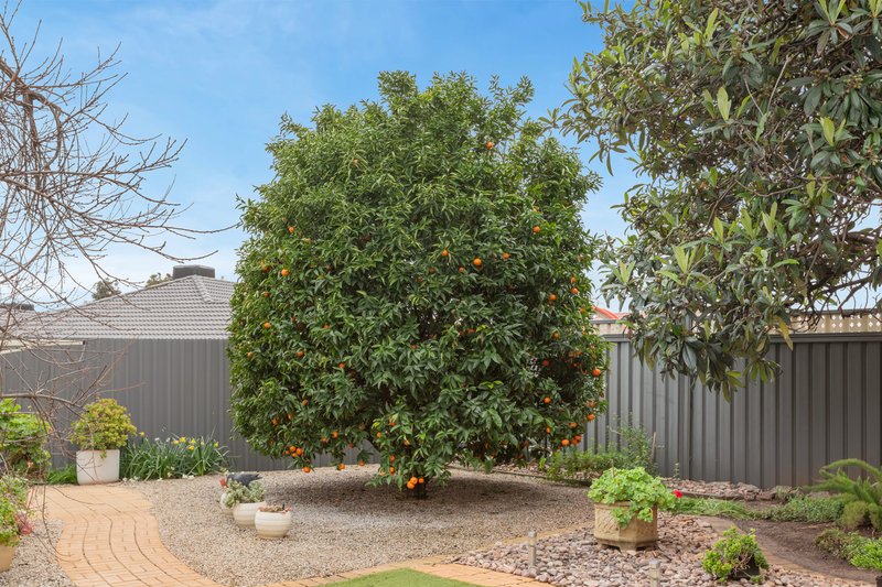 Photo - 157 Midway Road, Elizabeth Park SA 5113 - Image 24