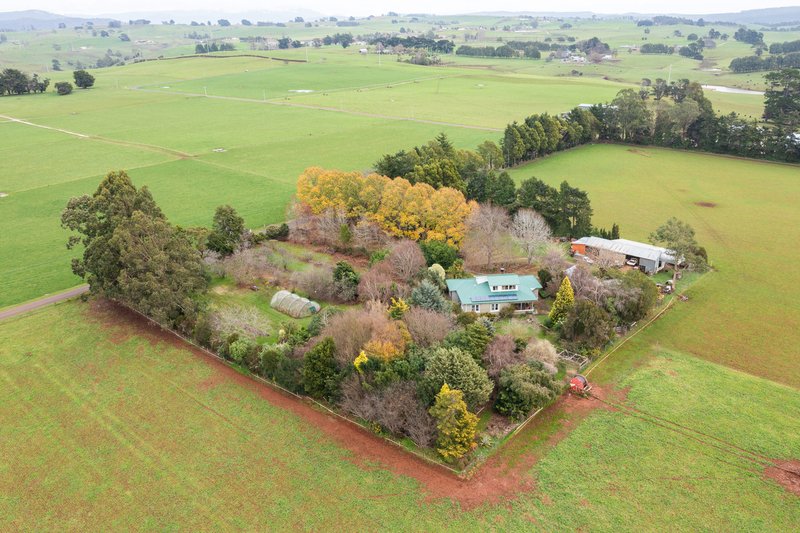 Photo - 157 Racecourse Road, Winnaleah TAS 7265 - Image 14