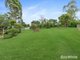 Photo - 157 Rose Avenue, Minden QLD 4311 - Image 20