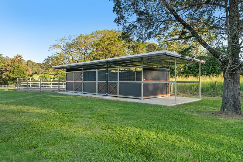 Photo - 157 Rosedale Homestead, Middle Creek Road, Federal QLD 4568 - Image 13