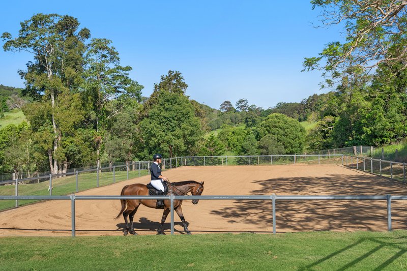 Photo - 157 Rosedale Homestead, Middle Creek Road, Federal QLD 4568 - Image 14