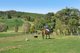 Photo - 157 Rosedale Homestead, Middle Creek Road, Federal QLD 4568 - Image 15