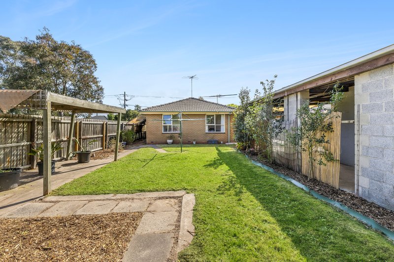 Photo - 157 Wilsons Road, Whittington VIC 3219 - Image 4