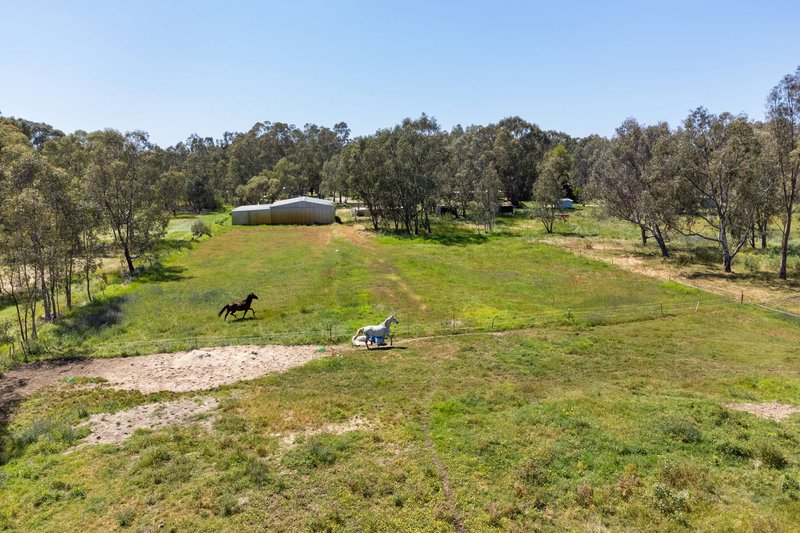 Photo - 157 Young Road, Baldivis WA 6171 - Image 5