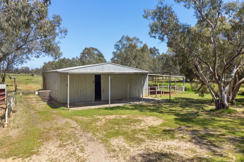 Photo - 157 Young Road, Baldivis WA 6171 - Image 6