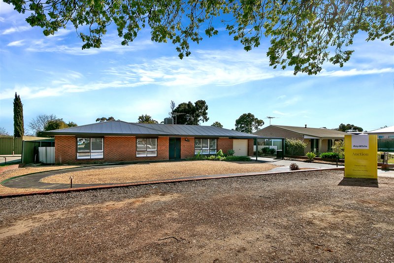 Photo - 158 Murray Street, Tanunda SA 5352 - Image 5