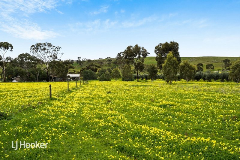 Photo - 158 River Blocks Road, Yacka SA 5470 - Image 22