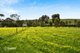 Photo - 158 River Blocks Road, Yacka SA 5470 - Image 22