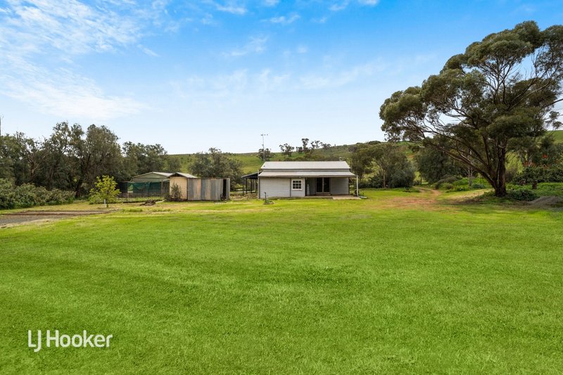 Photo - 158 River Blocks Road, Yacka SA 5470 - Image 23