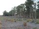 Photo - 1583 Bandit Road, Denmark WA 6333 - Image 3