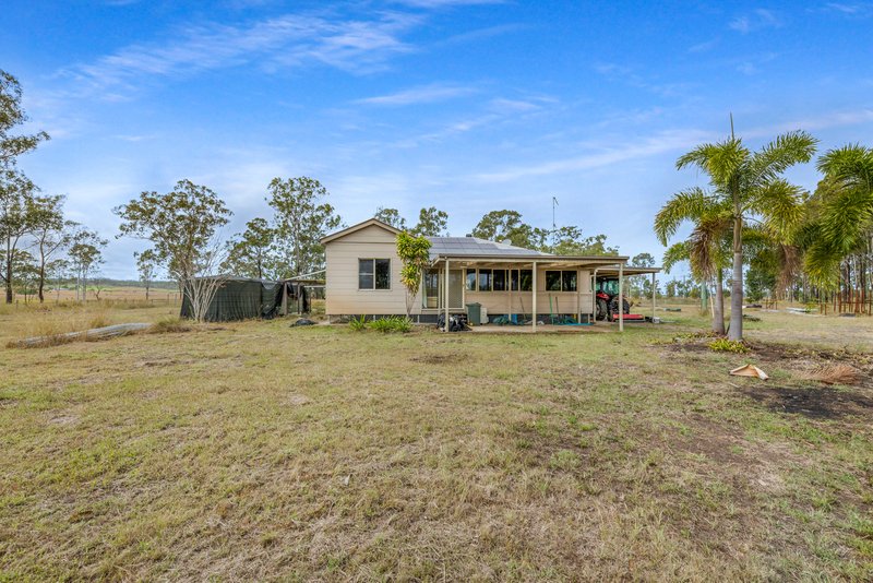 Photo - 159 Cloyne Road, Drinan QLD 4671 - Image 13