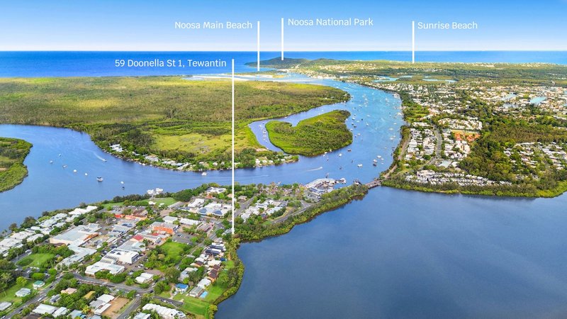 Photo - 1/59 Doonella Street, Tewantin QLD 4565 - Image 2