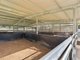 Photo - 159 Eaton Lane, Stony Creek QLD 4514 - Image 28