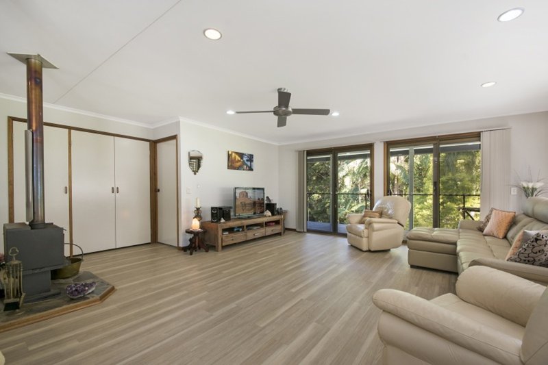 Photo - 159 Lindsay Road, Buderim QLD 4556 - Image 4