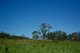 Photo - 1590 Conway Road, Conway QLD 4800 - Image 3