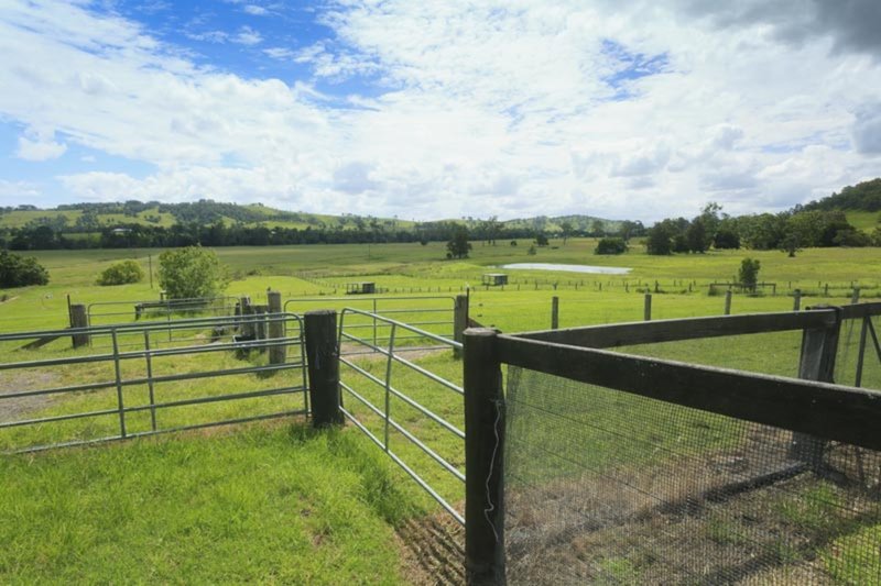 1590 Fosterton Road, Dungog NSW 2420