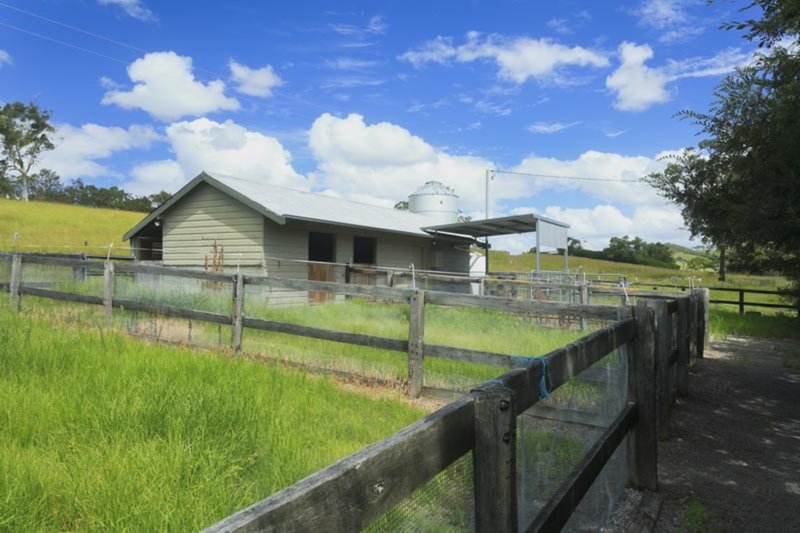 Photo - 1590 Fosterton Road, Dungog NSW 2420 - Image 9