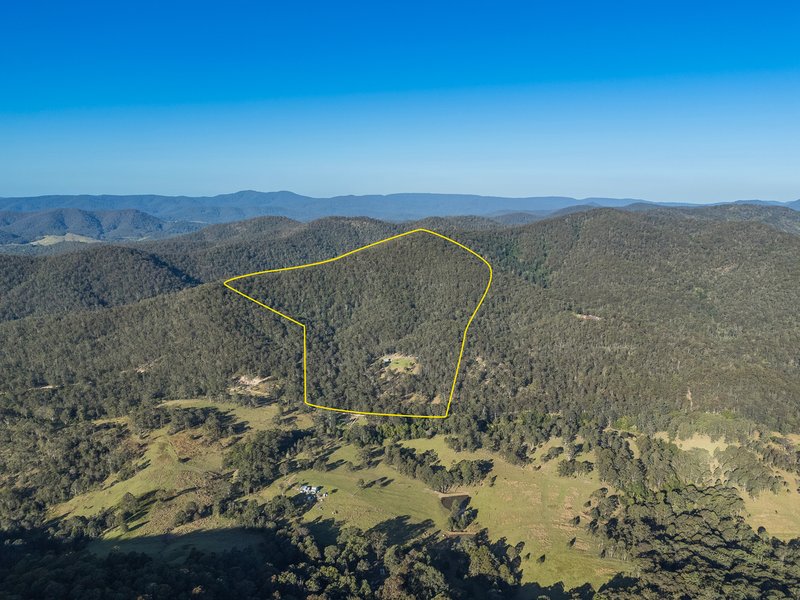 Photo - 1590 Mill Creek Road, Terreel Via , Stroud NSW 2425 - Image 2