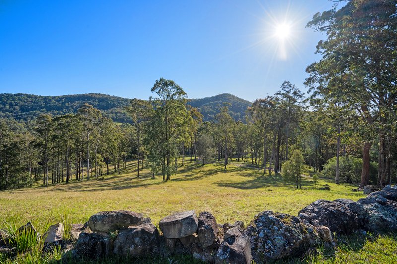 Photo - 1590 Mill Creek Road, Terreel Via , Stroud NSW 2425 - Image 13